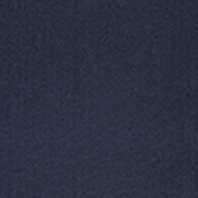 RV184
